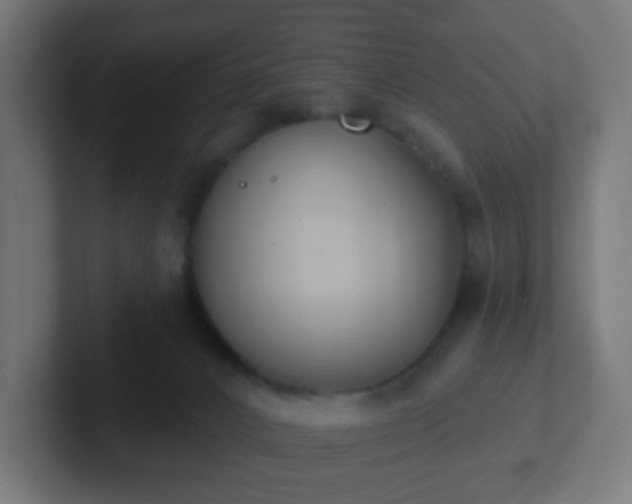 X0000102810032200808251118