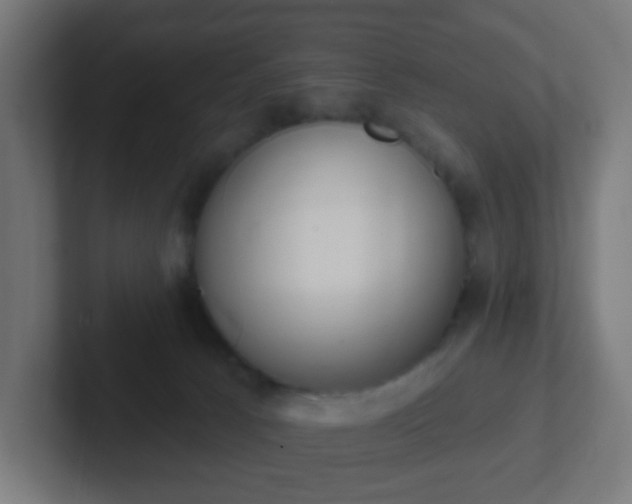 X0000102810033200808251118