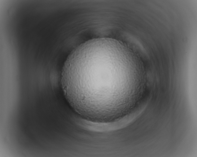 X0000102810034200808251118