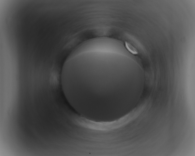 X0000102810035200808251118