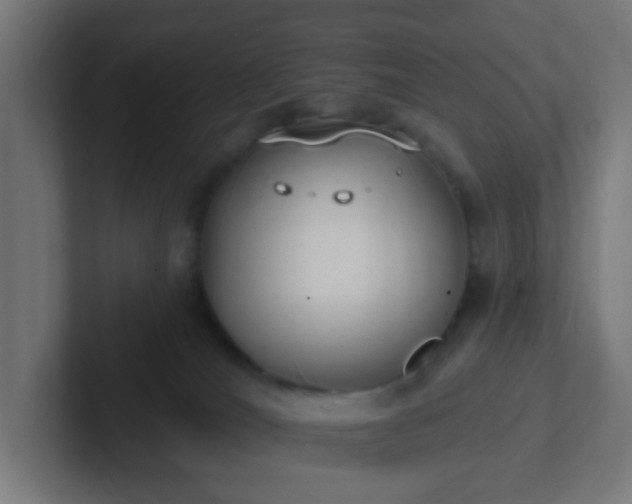 X0000102810036200808251118