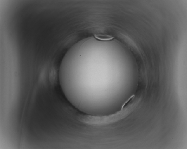 X0000102810037200808251118