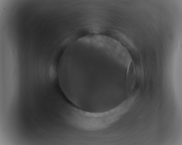 X0000102810043200808251118