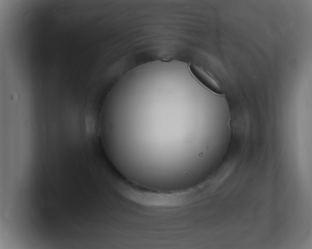 X0000102810044200808251118