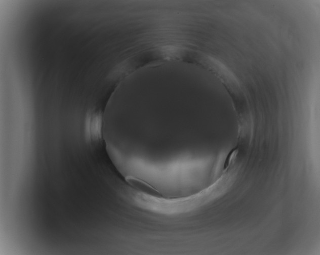 X0000102810047200808251118