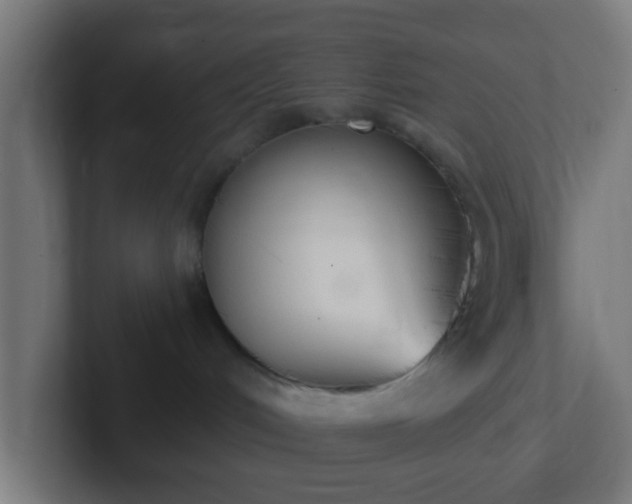 X0000102810048200808251118