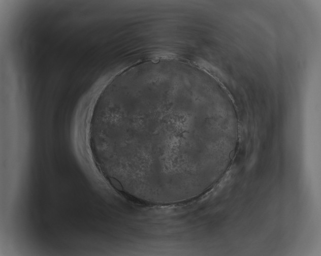 X0000102810049200808251118