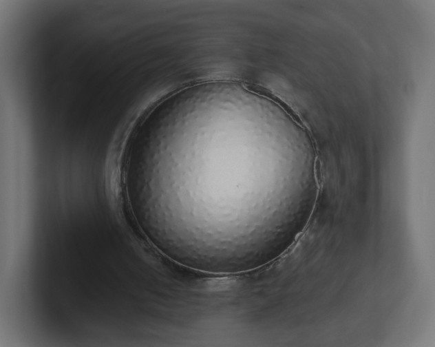 X0000102810050200808251118