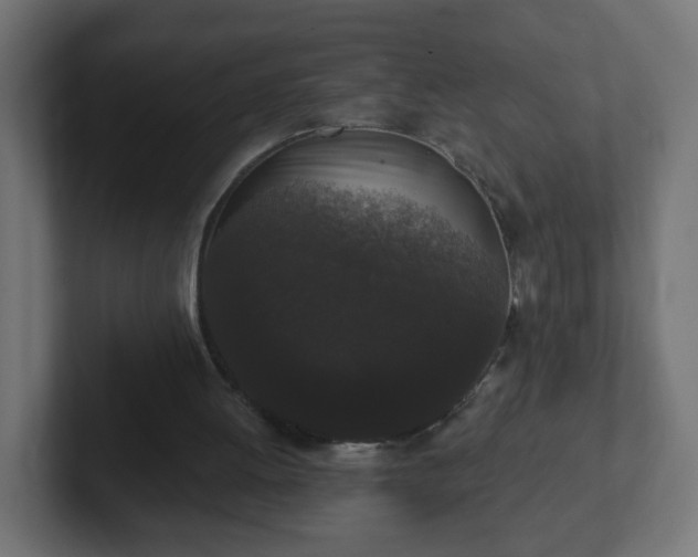 X0000102810052200808251118