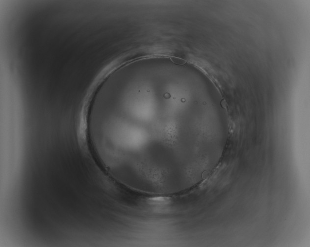 X0000102810053200808251118