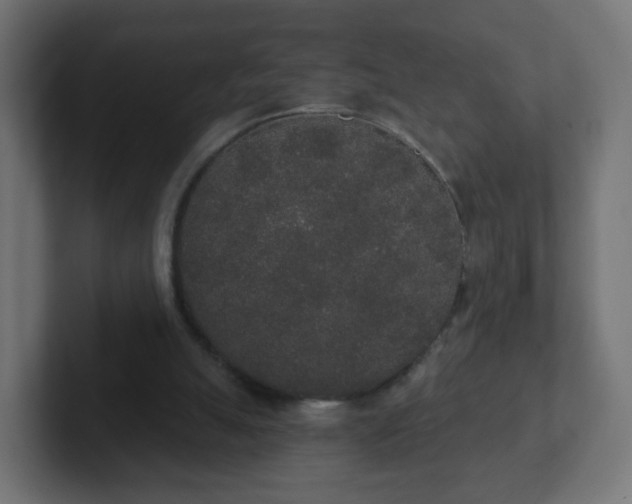 X0000102810055200808251118