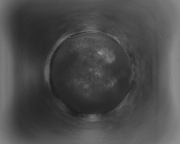 X0000102810056200808251118