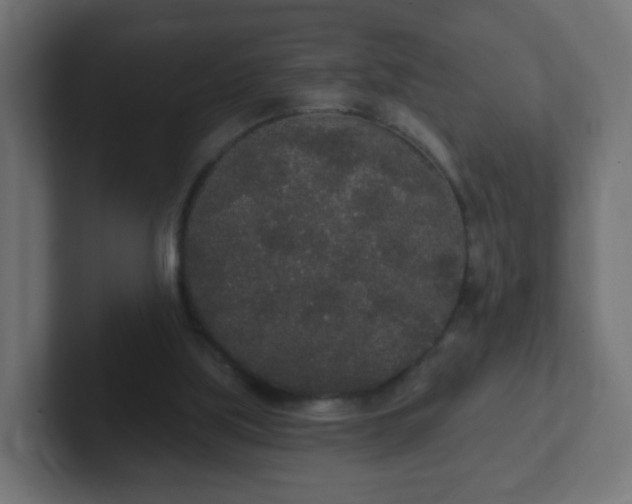 X0000102810059200808251118