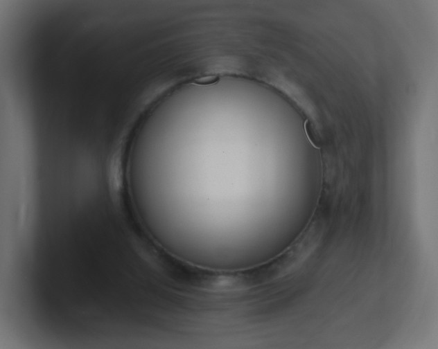 X0000102810060200808251118