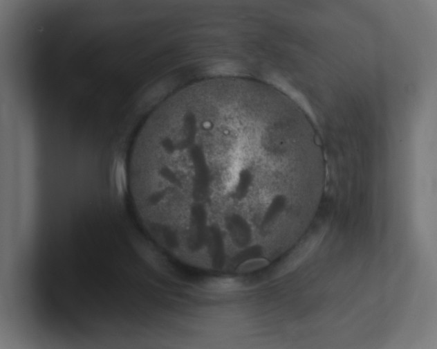 X0000102810061200808251118