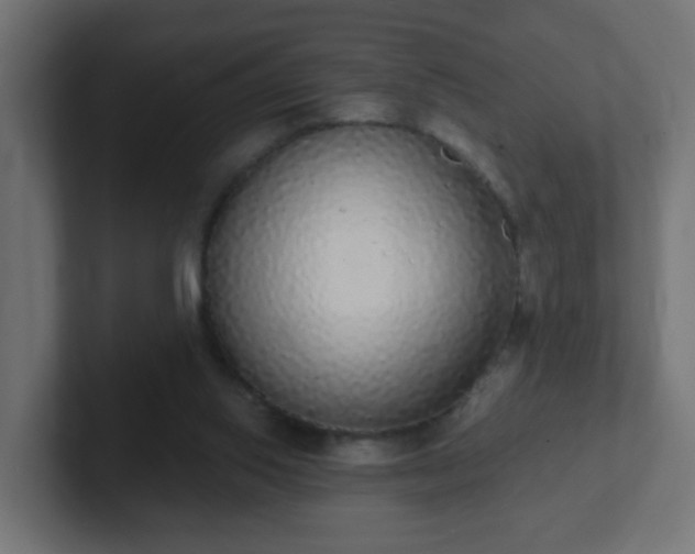 X0000102810062200808251118