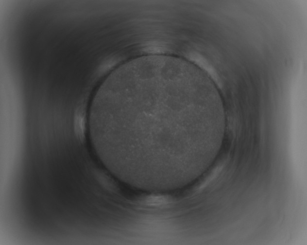 X0000102810063200808251118