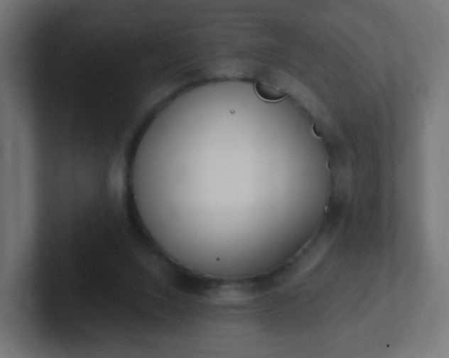 X0000102810064200808251118