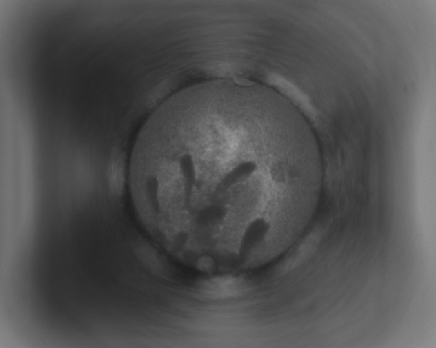 X0000102810065200808251118