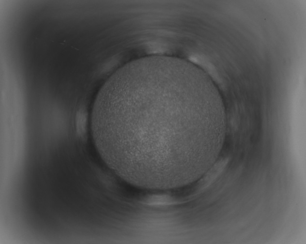 X0000102810066200808251118