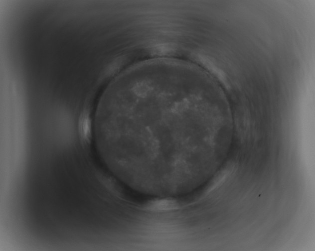 X0000102810067200808251118