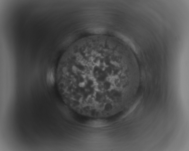 X0000102810069200808251118