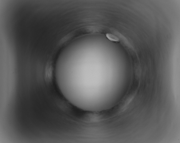 X0000102810071200808251118