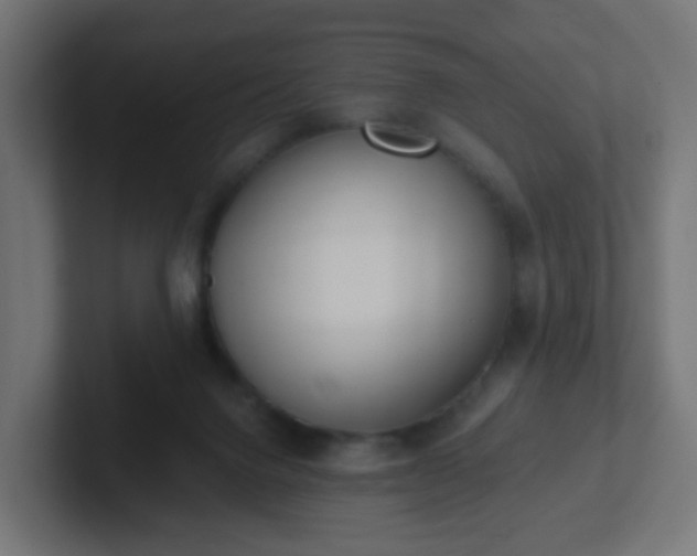 X0000102810072200808251118