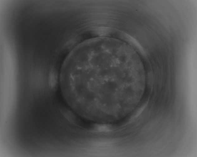 X0000102810073200808251118