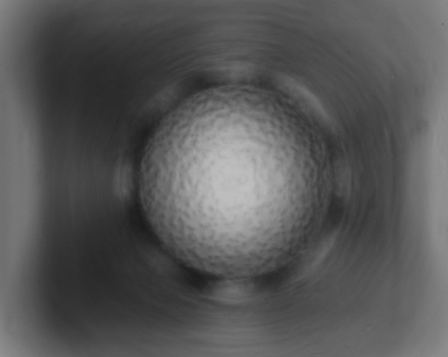 X0000102810077200808251118