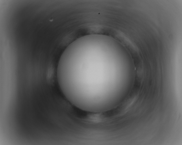 X0000102810079200808251118