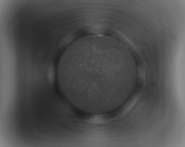 X0000102810080200808251118