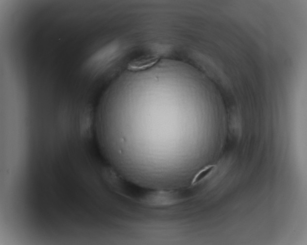 X0000102810082200808251118