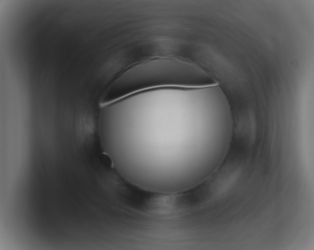 X0000102810084200808251118