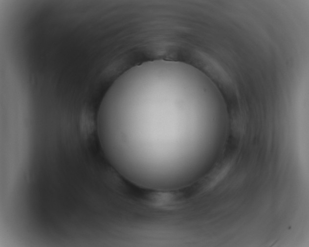 X0000102810085200808251118