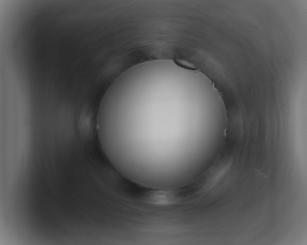 X0000102810088200808251118