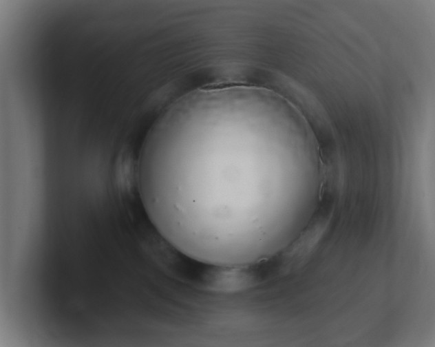 X0000102810093200808251118