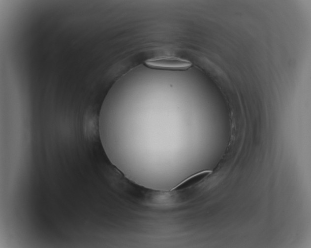 X0000102810096200808251118