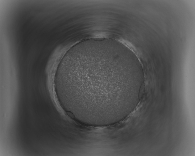 X0000102810097200808251118