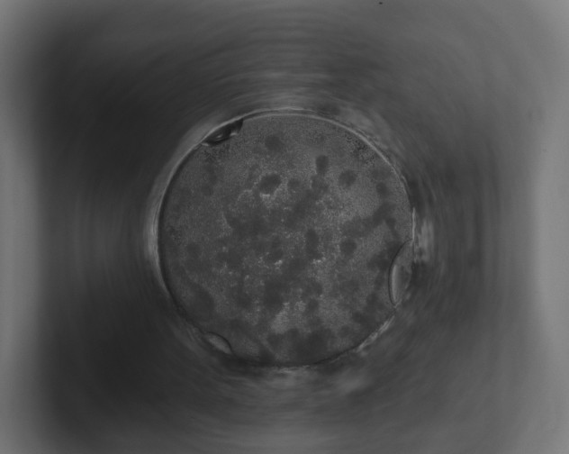 X0000102810099200808251118