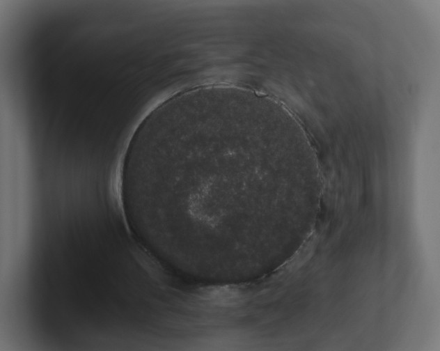 X0000102810100200808251118