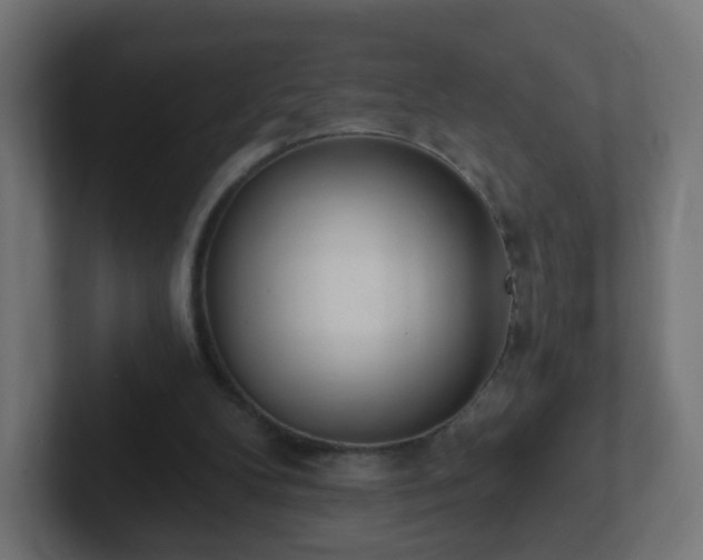 X0000102810104200808251117