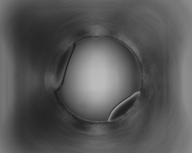 X0000102810105200808251117