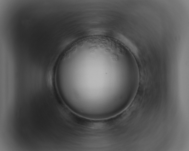 X0000102810107200808251117