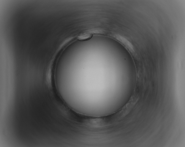 X0000102810108200808251117