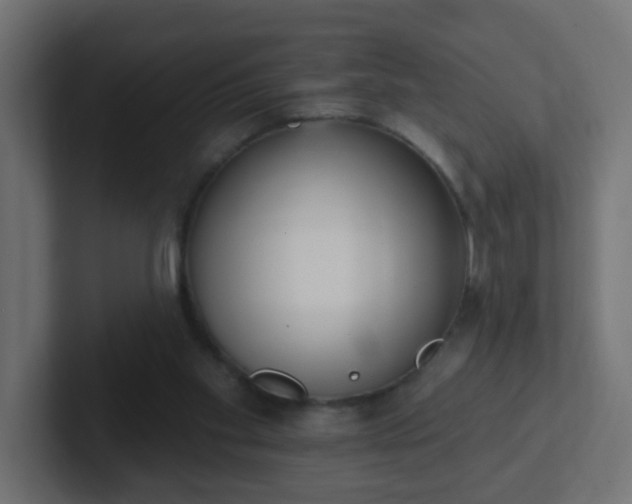 X0000102810109200808251117