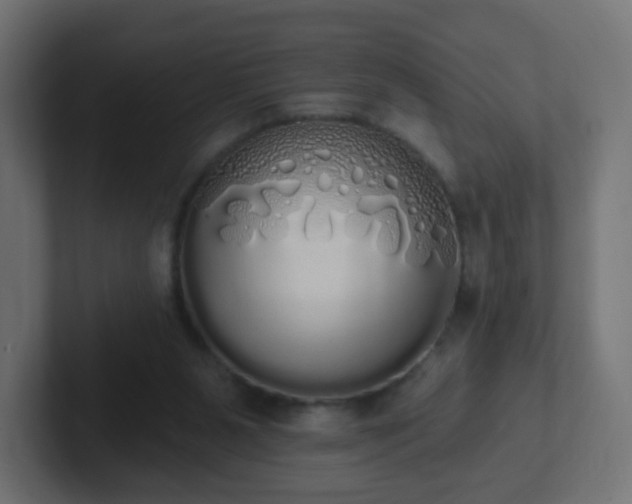 X0000102810111200808251117