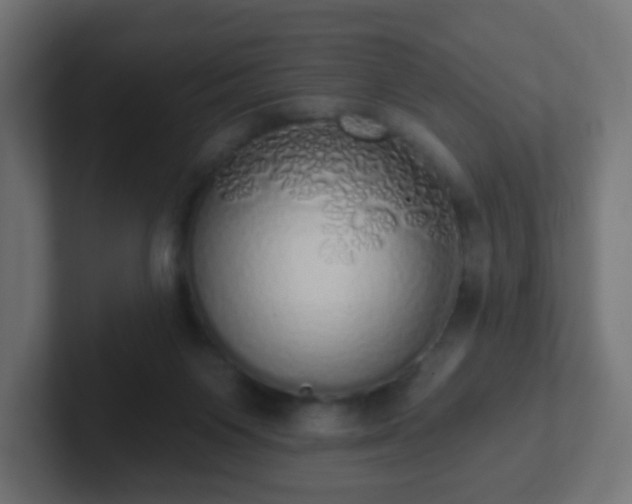 X0000102810119200808251117