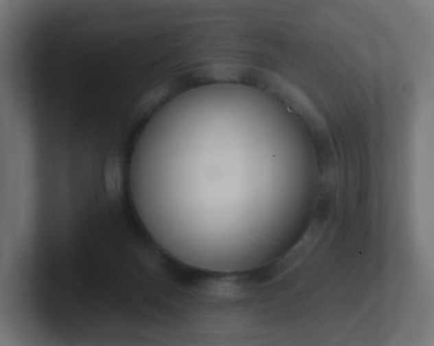 X0000102810120200808251117