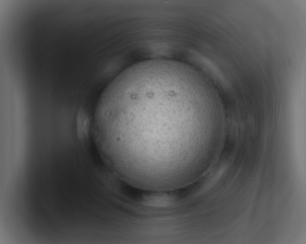 X0000102810123200808251117